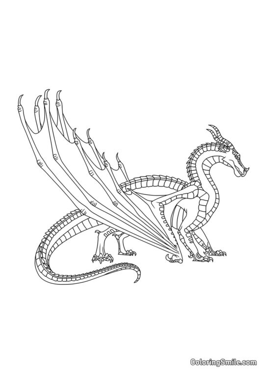 Czarny smok - Kolorowanka