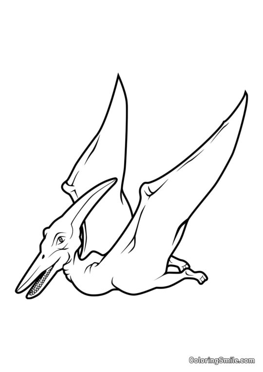 Pteranodon - Kolorowanka