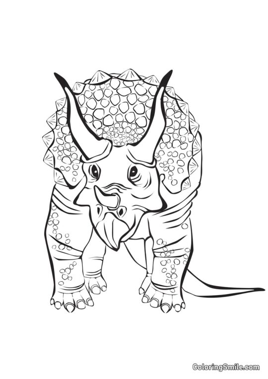Triceratops z Rodziny Ceratopsidae - Kolorowanka