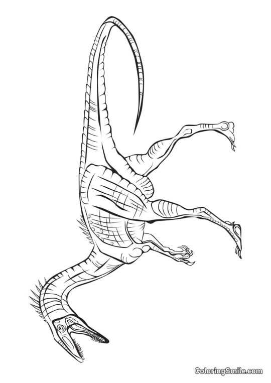 Coelophysis - Kolorowanka