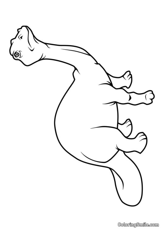 Brontozaur - Kolorowanka