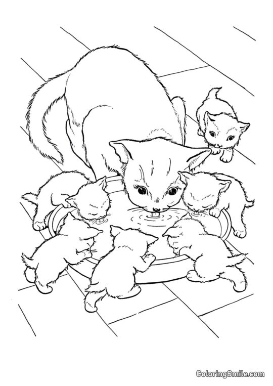 Kot i Sześć Kociąt - Kolorowanka