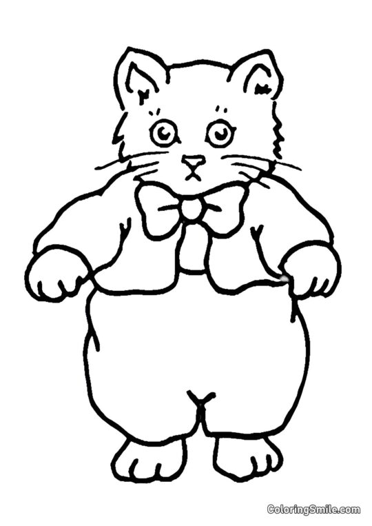 Kociak w Swetrze - Kolorowanka