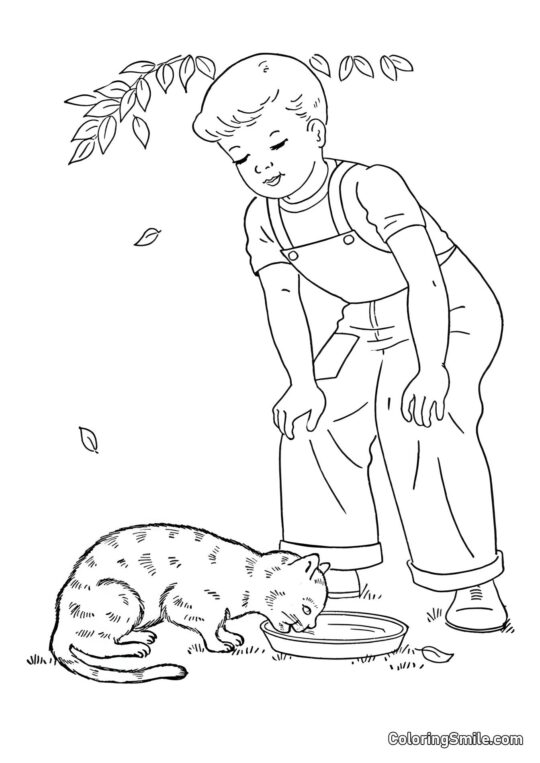 Kot i Chłopiec - Kolorowanka