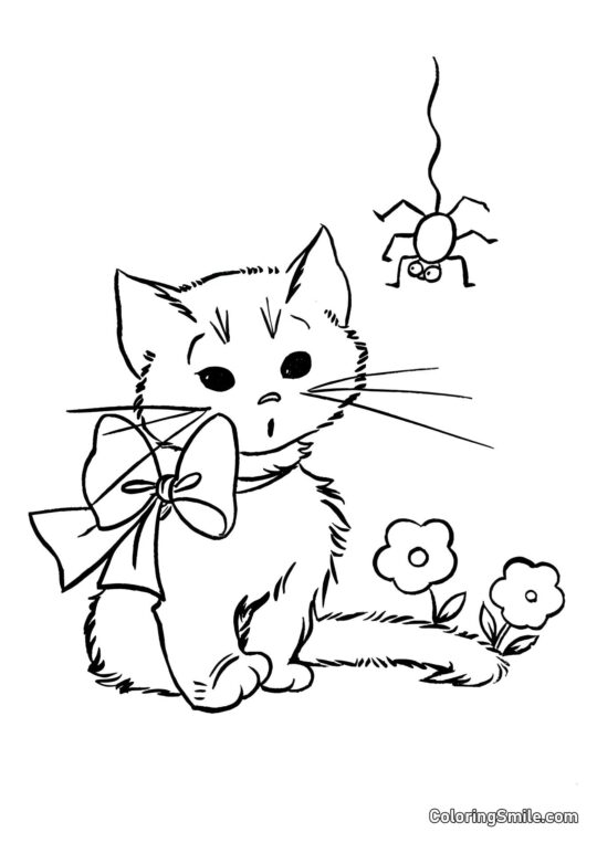 Kociak i Pająk - Kolorowanka