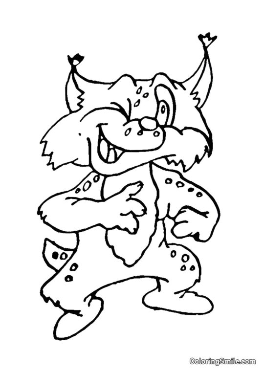 Bandzior Kot - Kolorowanka