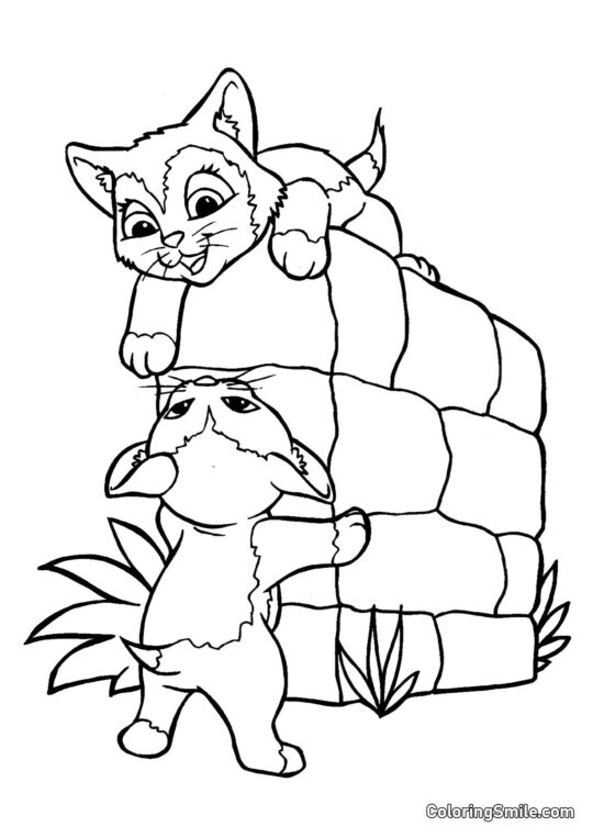 Kocięta Bawiące się - Kolorowanka