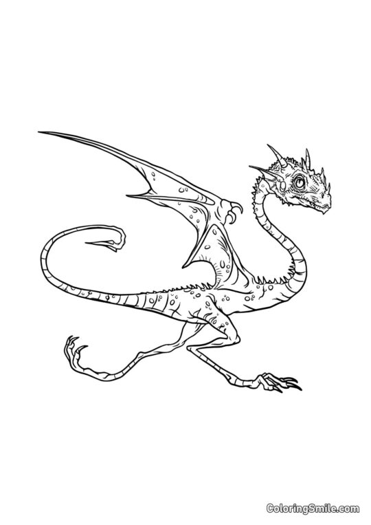 Norbert – smok Hagrida - Kolorowanka