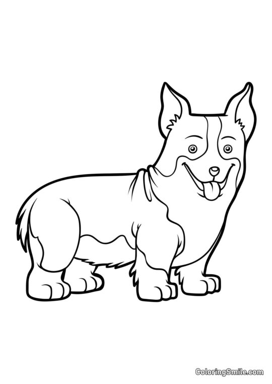 Corgi - Kolorowanka