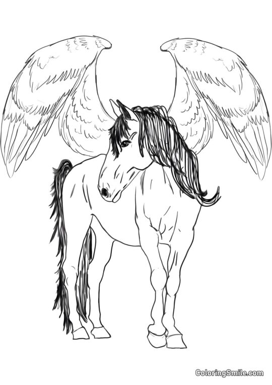 Skrzydlaty Pegasus - Kolorowanka