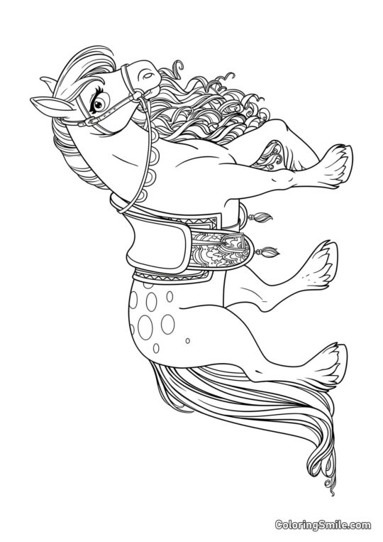 Piękny koń - Kolorowanka