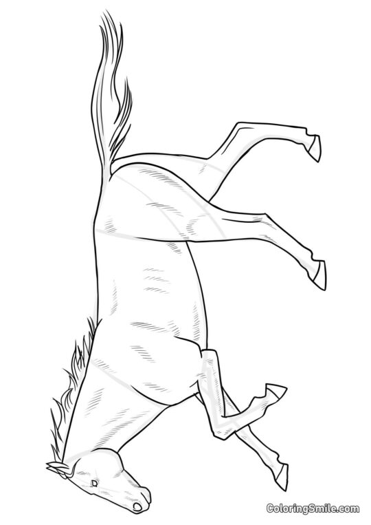 Zgrabny koń - Kolorowanka