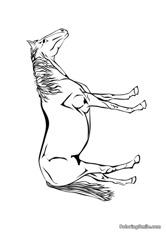 Wytworny koń - Kolorowanka