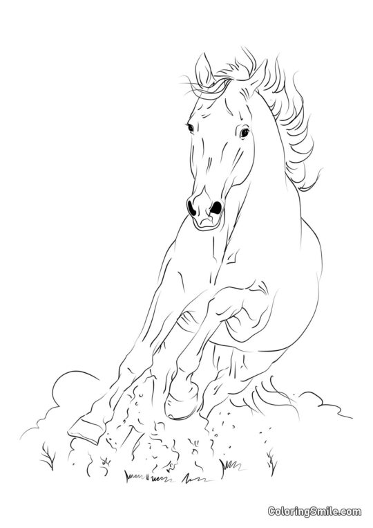 Latający jak wiatr koń - Kolorowanka