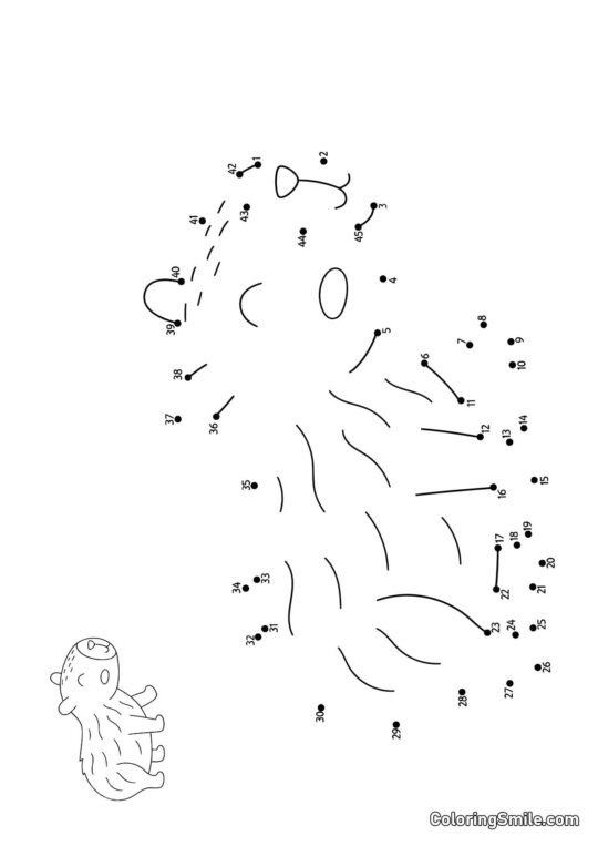 Kapibara przy kropkach - Kolorowanka